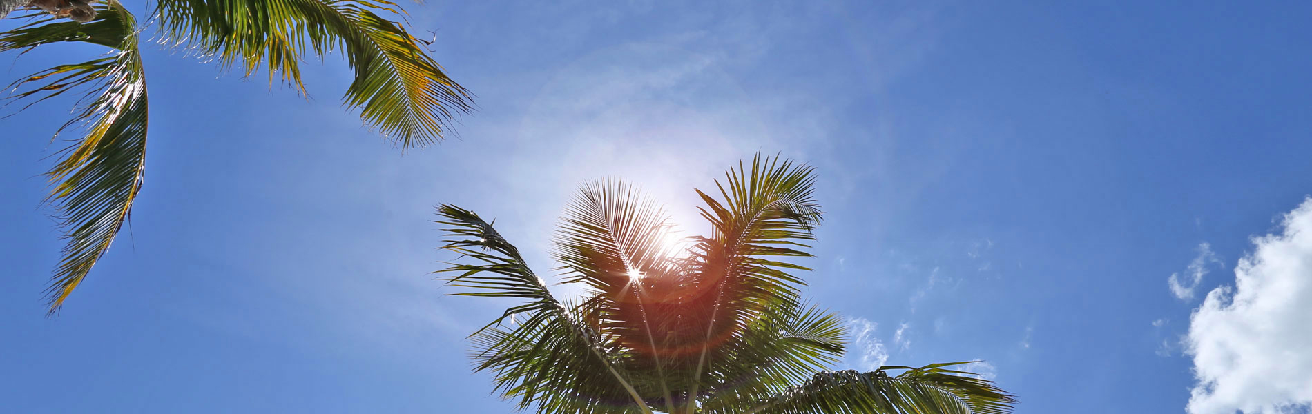 Manatee Bay Inn, Ft. Myers Beach Florida